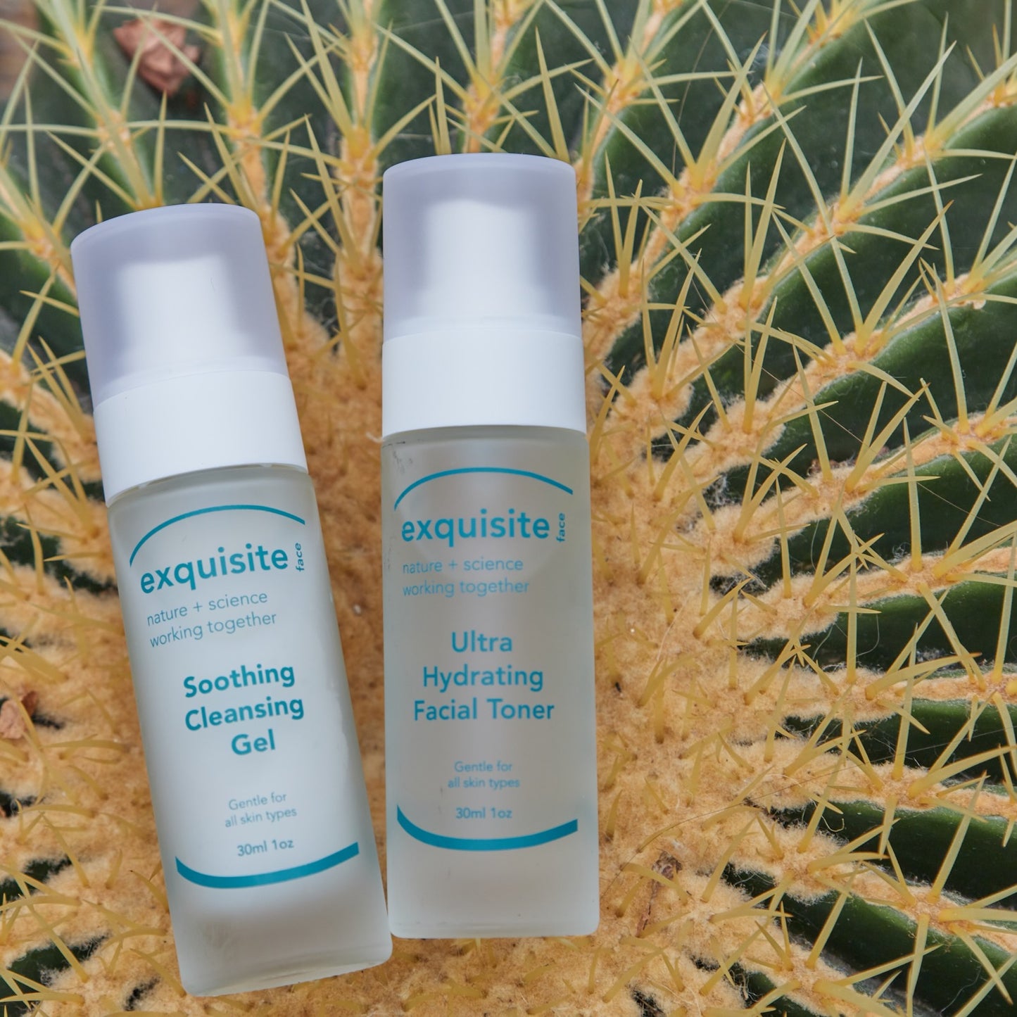 Exquisite Travel Duo